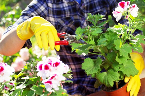 Gardener inspecting a garden bed for a complaint