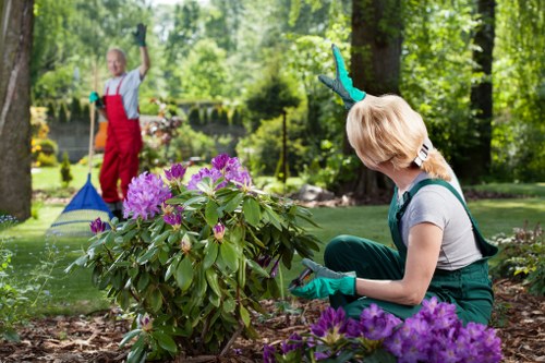 Pollinators visiting flowers in Westminster garden