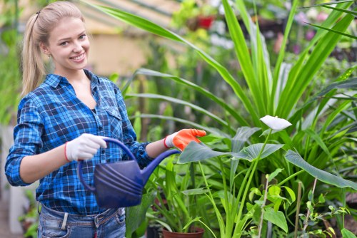 Professional gardener trimming hedges in a Westminster garden.