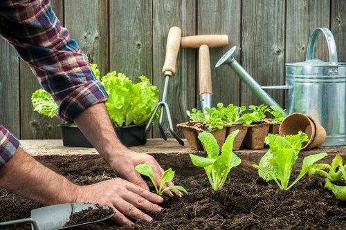 Professional garden clearance team at work