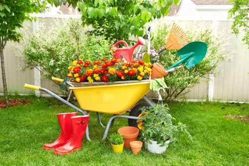 Eco-friendly garden with native plants