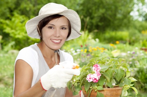 Experienced gardening team of Gardening Westminster