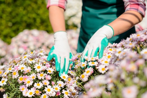 Incident reporting and emergency preparedness in garden work