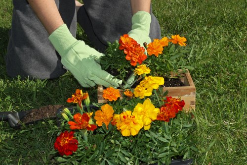 Gardening Westminster professionals at work