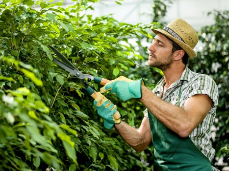Workers setting up an eco-friendly garden waste disposal area
