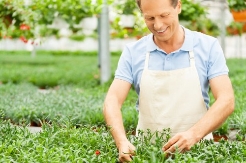 Community members gardening together in Westminster