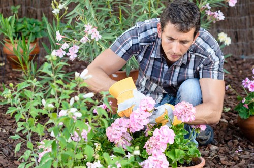 Sustainable gardening practices in action within a Westminster landscape